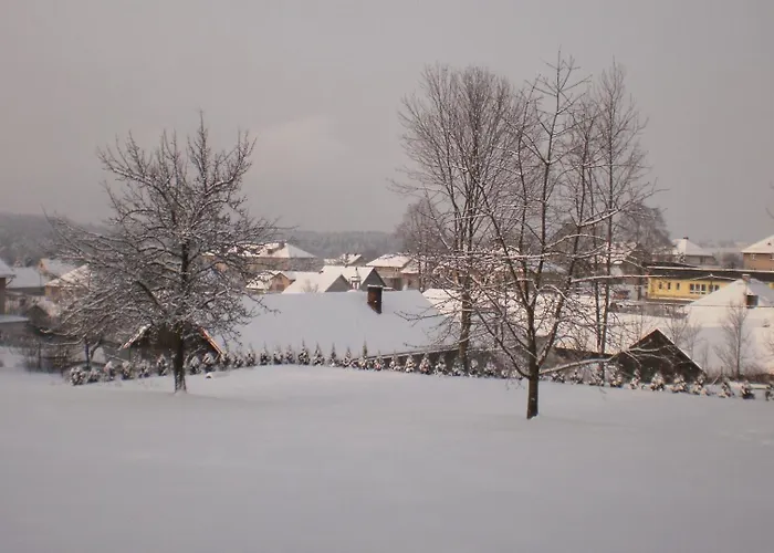 게스트하우스 Na Devitce Světnov