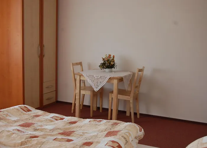 게스트하우스 Na Devitce 3*